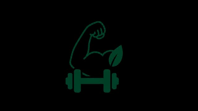 Lean Muscle Program
